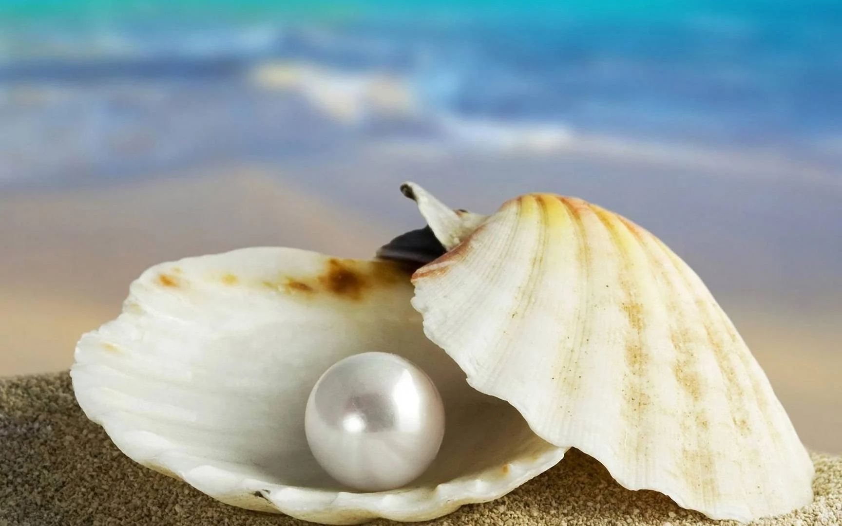 Sea Secrets