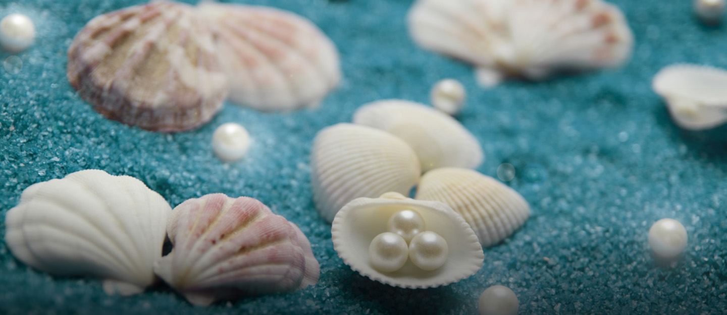 Sea Secrets